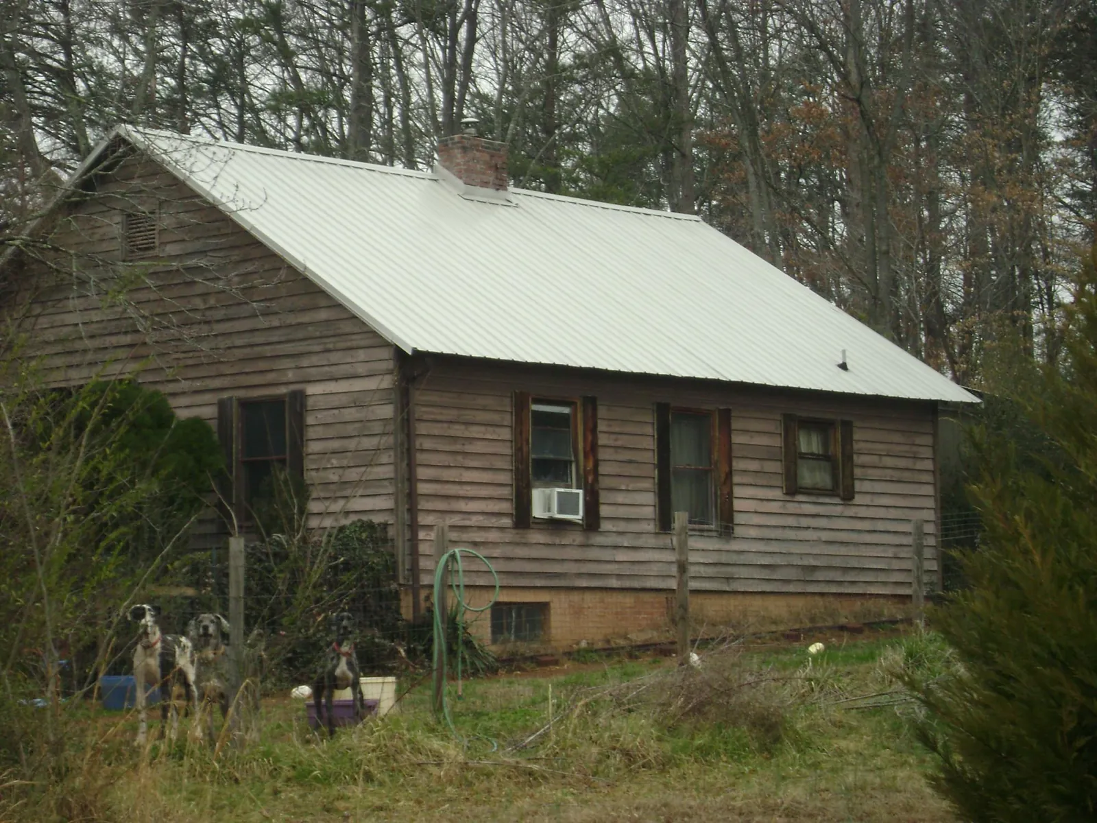 White metal roof on an old wood sided farmhouse, from a Asphalt Shingle Roof Repair job in Leadore